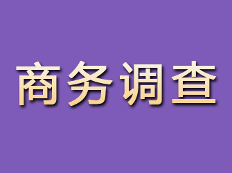 民和商务调查